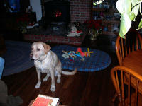 jackstoys.jpg (91896 bytes)